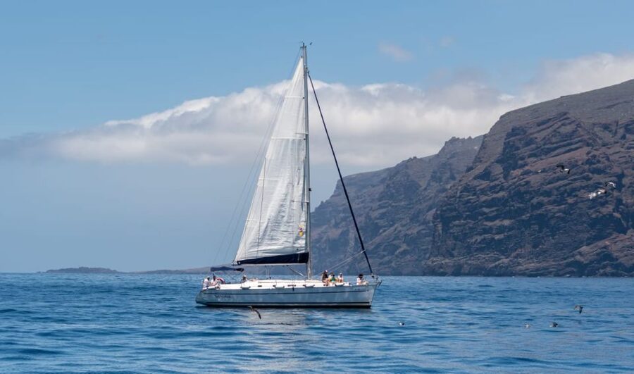 Los Gigantes: Sailing Excursion with Swimming, Drink & Tapas - The red cliffs and the bay-to-cove rhythm