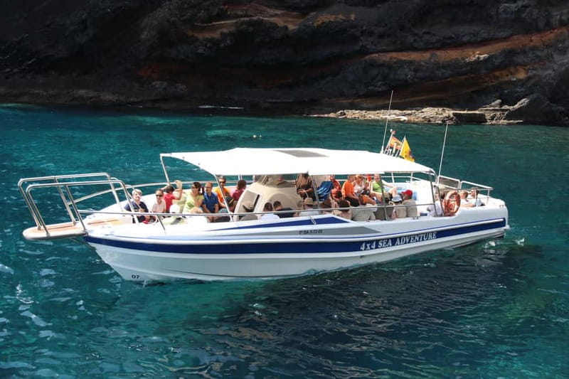 Los Gigantes: Whale or Dolphin Watching Tour and Swim in Masca - The Los Gigantes wildlife window: what you’re really buying