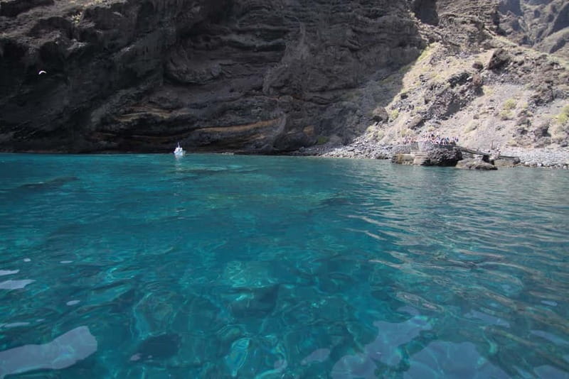 Los Gigantes: Whale or Dolphin Watching Tour and Swim in Masca - Who this tour suits best, and who should think twice