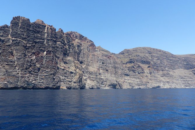 Los Gigantes Whale Watching Charter by Sail Boat - The swim and snorkeling break is the best kind of surprise