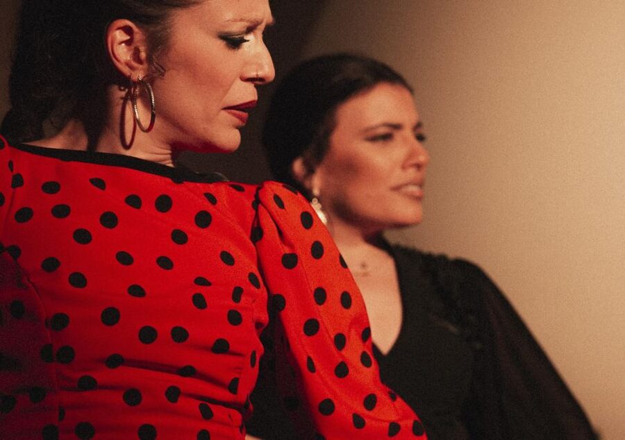 Madrid: 1-Hour Traditional Flamenco Show at Centro Cultural - A 55-Minute Traditional Flamenco Show in Chueca