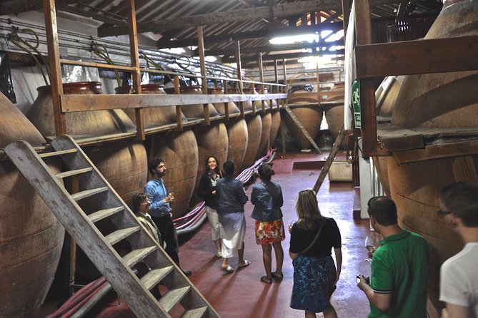 Madrid Countryside Wineries Guided Tour with Wine Tasting - Key Highlights You’ll Actually Feel