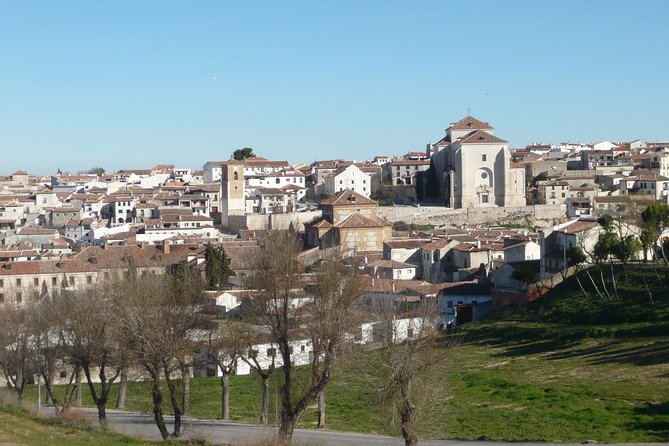 Madrid Countryside Wineries Guided Tour with Wine Tasting - Stop 1 at Señorio de Val Azul: Organic Vines and a Boutique Welcome