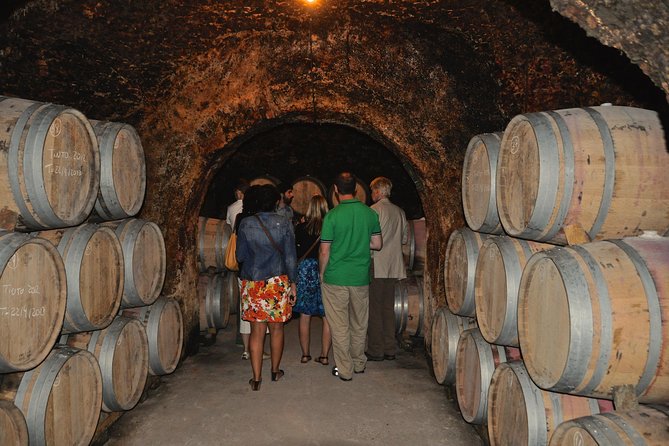 Madrid Countryside Wineries Guided Tour with Wine Tasting - Tastings, Snacks, and the Tempranillo and Malvar Pairing Logic