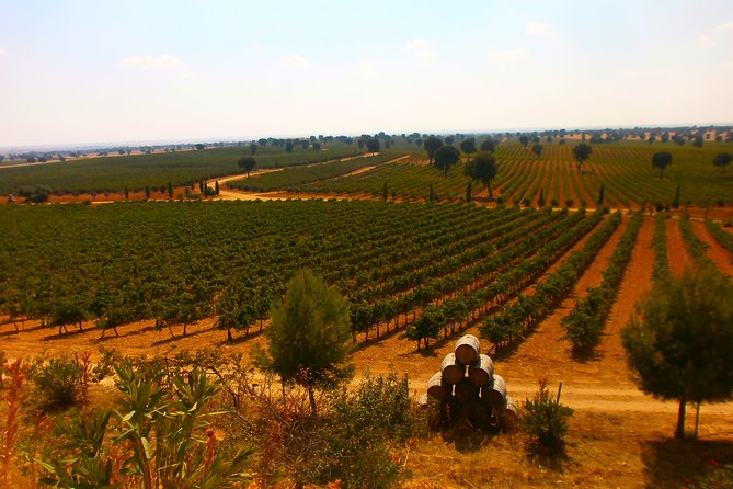 Madrid Countryside Wineries Guided Tour with Wine Tasting - Price and Logistics: What $175.35 Gets You (and Why It’s Not Just a Cheap Sip Tour)