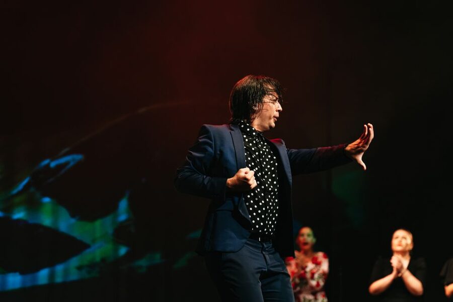 Madrid: "Emociones" Live Flamenco Performance - Key Things That Make Emociones Worth Your Night