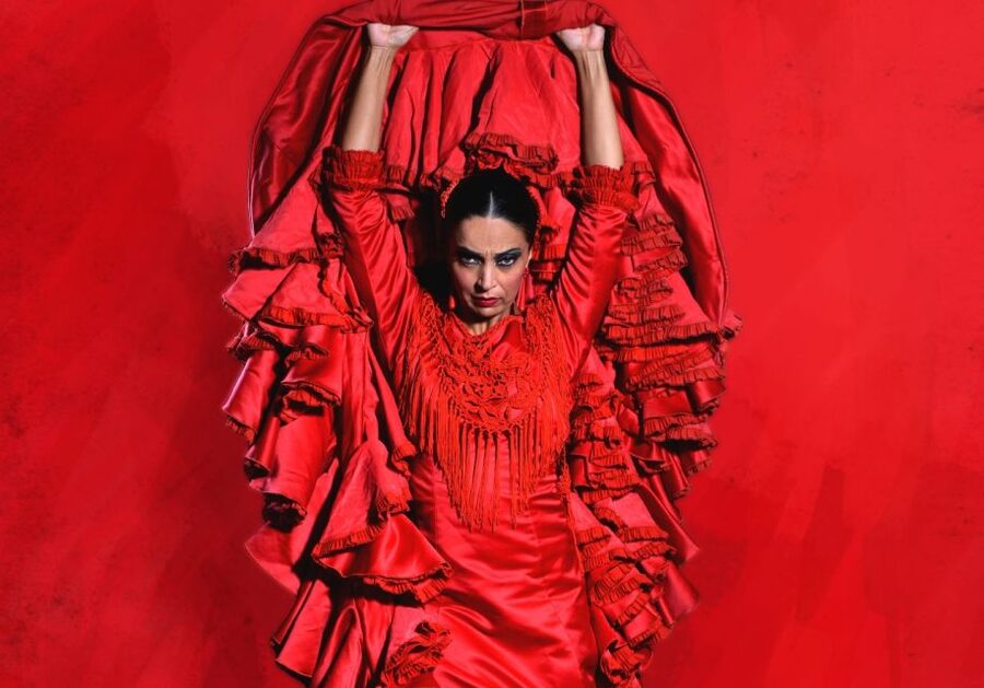 Madrid: "Emociones" Live Flamenco Performance - Inside the 1-Hour Show: Dancers, Singing, and Guitar