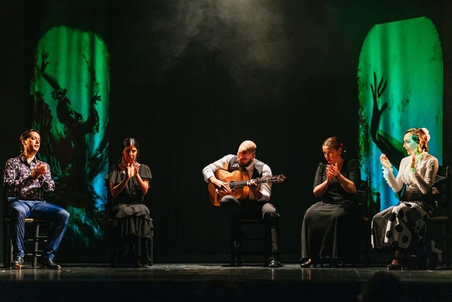 Madrid: "Emociones" Live Flamenco Performance - Price, Value, and What Makes It a Good Buy at $34