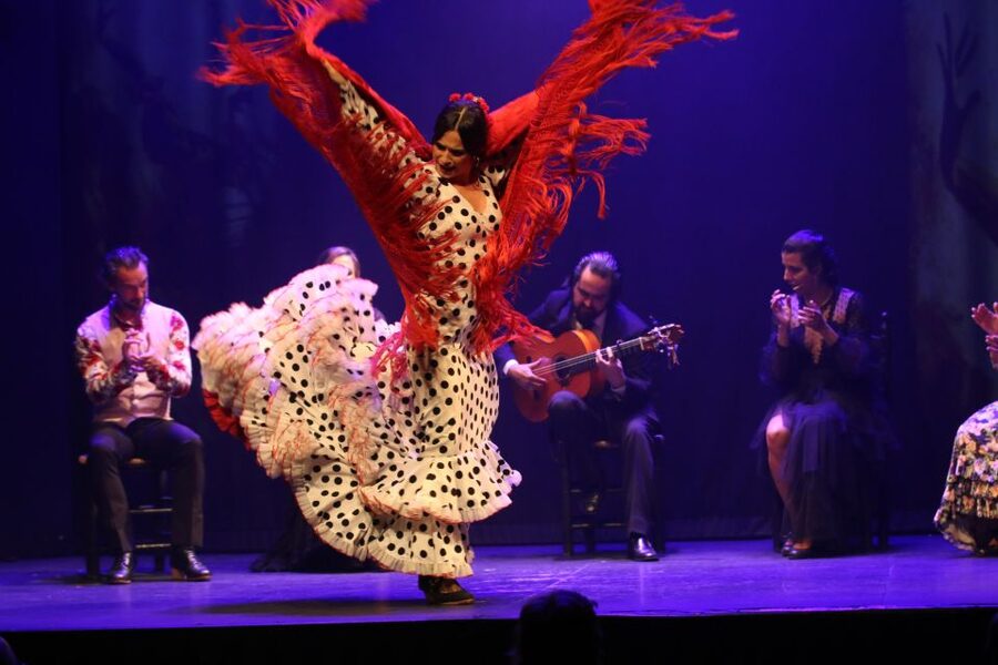 Madrid: "Emociones" Live Flamenco Performance - Who This Works For, and Who Might Feel Let Down