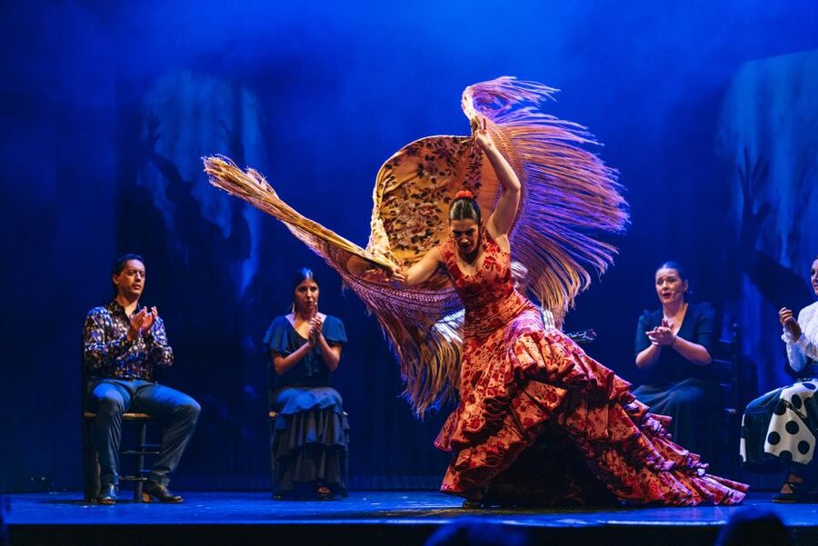Madrid: "Emociones" Live Flamenco Performance - Practical Tips to Make Your Night Run Smooth