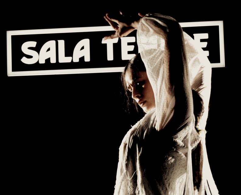 Madrid: Flamenco Show at Tablao Sala Temple with Drink - Should You Book Tablao Sala Temple Flamenco?