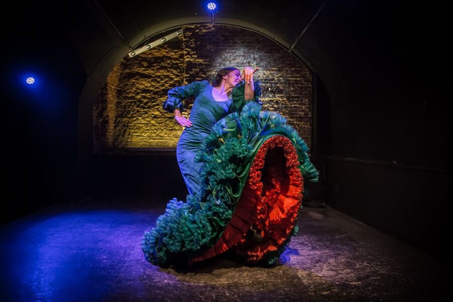 Madrid: La Cueva de Lola Flamenco Show Tickets with Drink - Value check: is $38 with a drink a fair deal in Madrid?