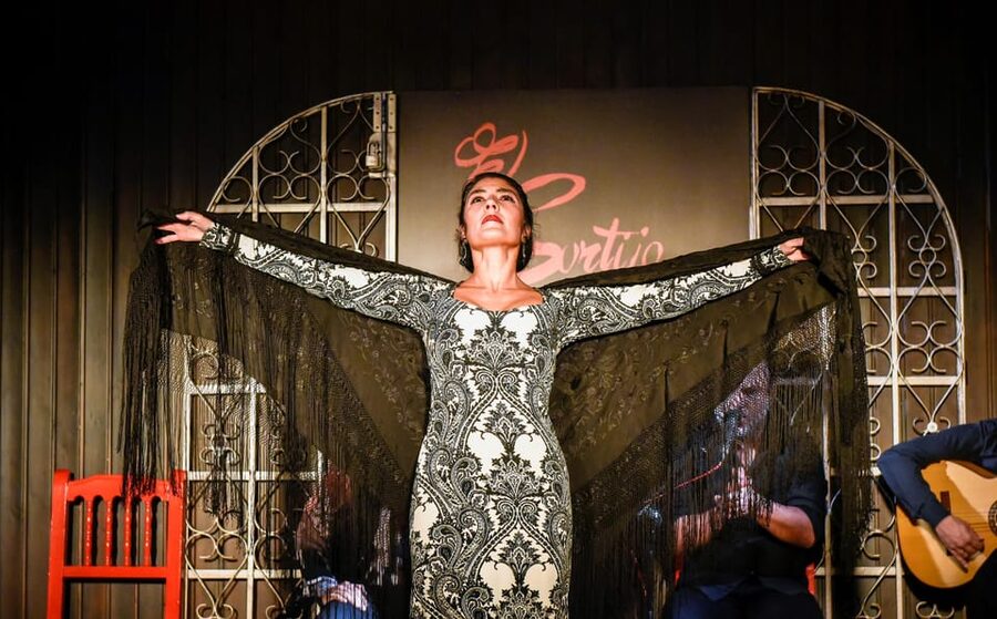 Madrid: Local Flamenco Show at El Cortijo - Choosing between show only, Premium, dinner, or the workshop