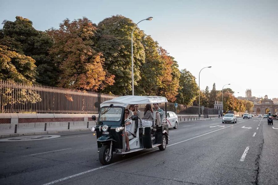Madrid: Private City Tour by Eco Tuk Tuk - Plaza de Santa Ana to Almudena Cathedral: neighborhood energy in royal territory