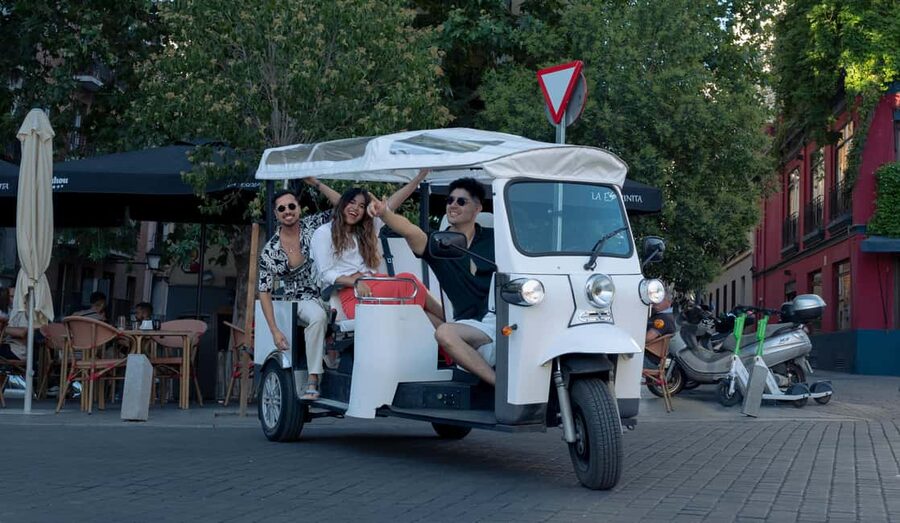 "Madrid: The Panoramic Vistas Tour" - Electric tuktuks and comfort in the real Madrid streets