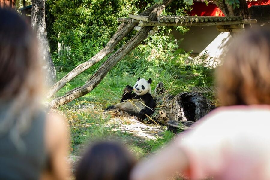 Madrid: Zoo Aquarium Madrid Ticket - 20 Hectares of Animals: How to Read the Zoo Layout