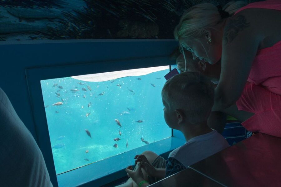 Mahon: Harbor Boat Tour with Underwater Viewing & Commentary - Underwater Viewing Through the Cabin Window, What You Really Get
