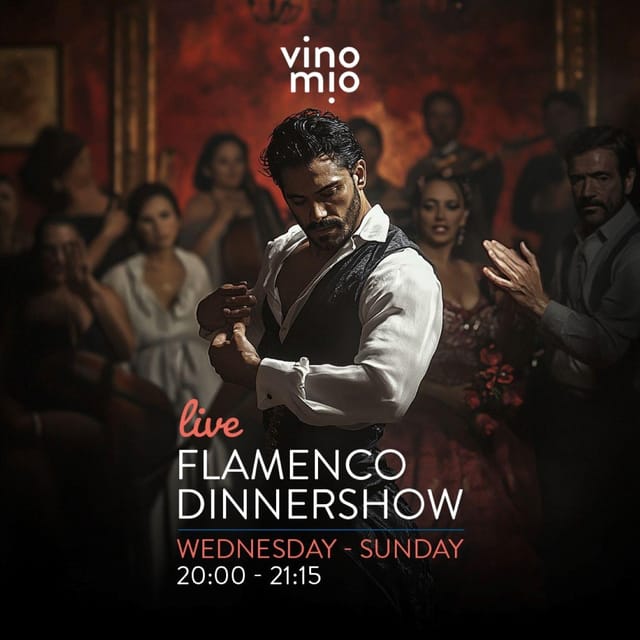 Malaga: Authentic Flamenco Dinner Show at Restaurant VinoMio - A real flamenco dinner in Malaga, not a performance-from-across-the-room