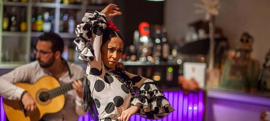 Malaga: Authentic Flamenco Dinner Show at Restaurant VinoMio - Who this is best for in Málaga