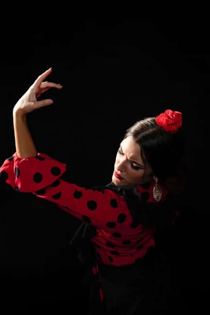 Malaga: Authentic Flamenco Dinner Show at Restaurant VinoMio - Price and dinner reality check (where the real cost comes from)
