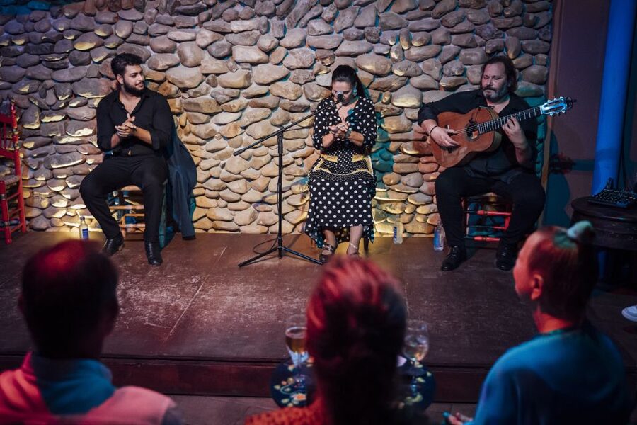 Malaga: Authentic Flamenco Show at El Gallo Ronco - Performers and the kind of talent you are paying to see