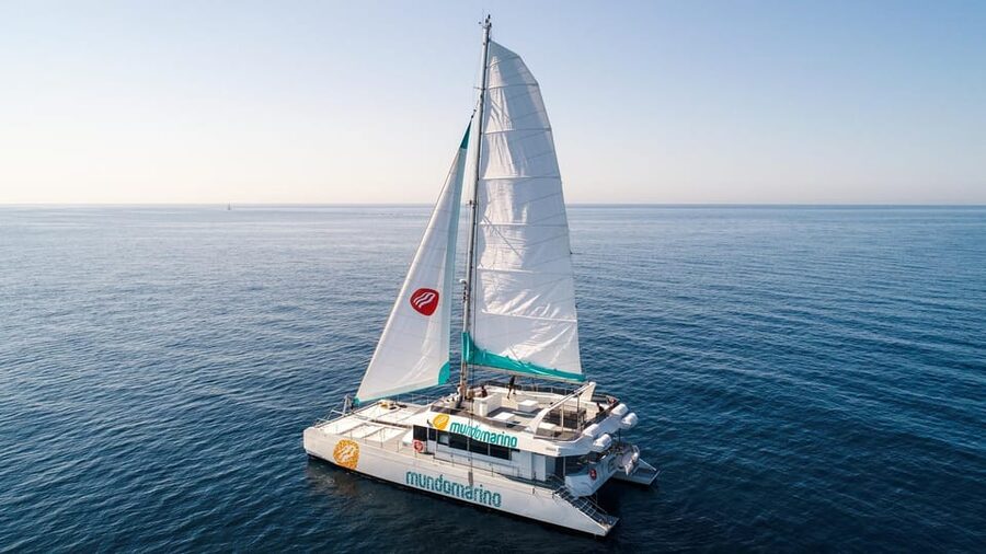 Malaga: Catamaran Sailing Cruise with Swimming & Optional DJ - Crowds, timing, and the small logistics that decide your experience
