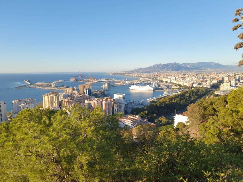 Malaga: Guided E-Bike Tour - Should you book this Malaga e-bike tour?