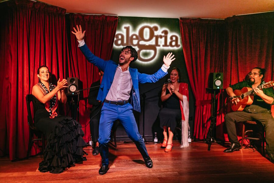 Málaga: Live Flamenco Show at Flamenco Alegría - Who should book this show, and who might skip it
