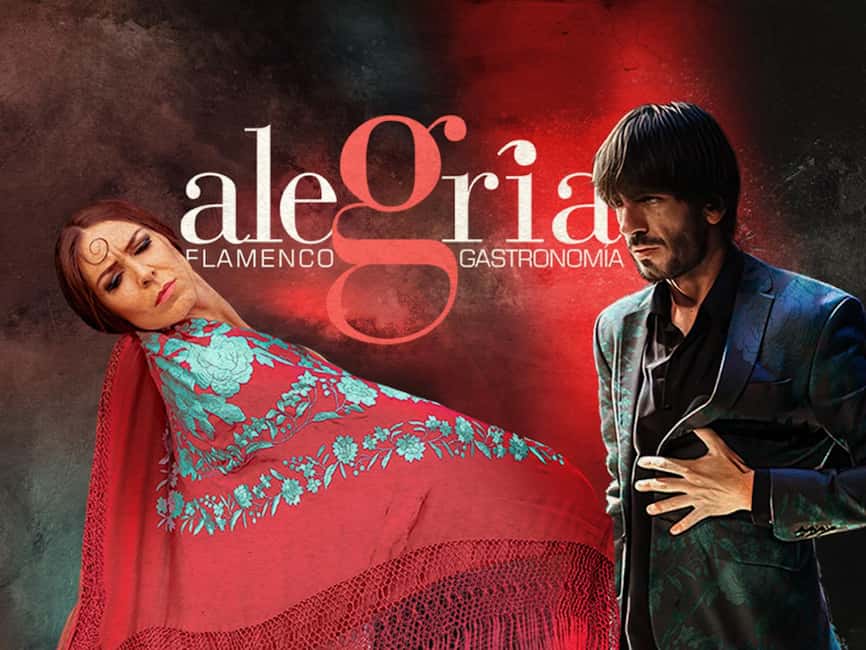 Málaga: Live Flamenco Show at Flamenco Alegría - Why this Málaga flamenco show feels worth the price