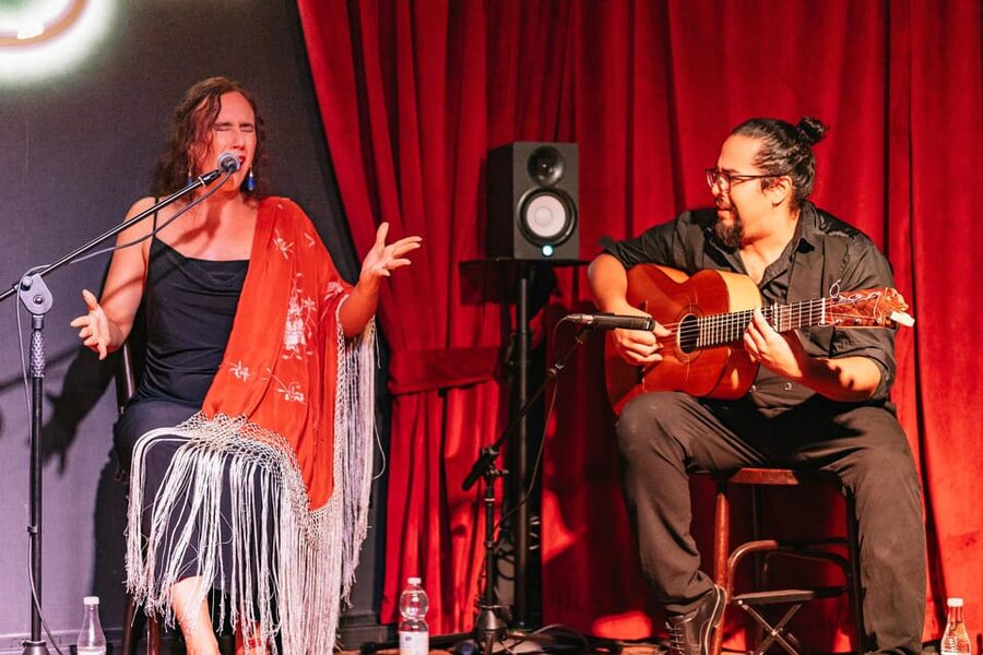 Málaga: Live Flamenco Show at Flamenco Alegría - What you will see on stage: singing, guitar, and dancer solos