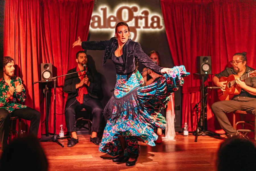 Málaga: Live Flamenco Show at Flamenco Alegría - Seating, comfort, and how to avoid the common annoyances