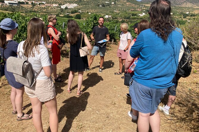 Malaga Organic Vineyard and Winery Six Wines Tapas and Transfer - Key things to know before you go