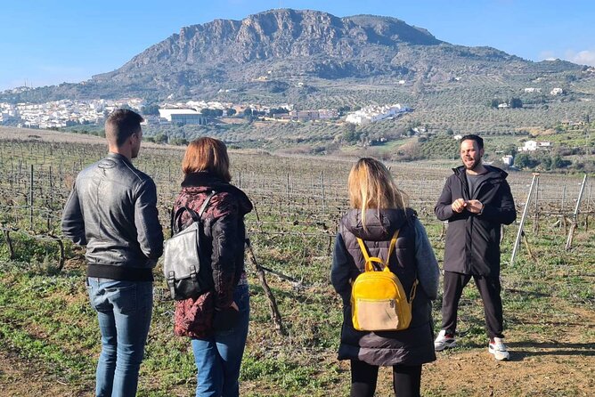 Malaga Organic Vineyard and Winery Six Wines Tapas and Transfer - BODEGA MALVAJIO garage winery: six wines, no tourist showroom