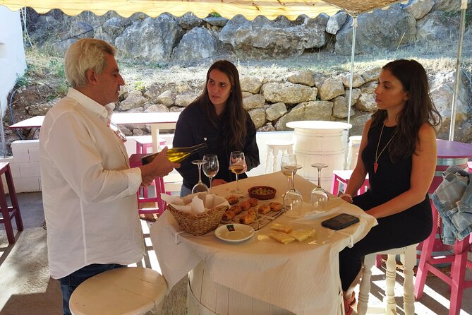 Malaga Organic Vineyard and Winery Six Wines Tapas and Transfer - Pacing, timing, and what to expect from a 4 to 5 hour day