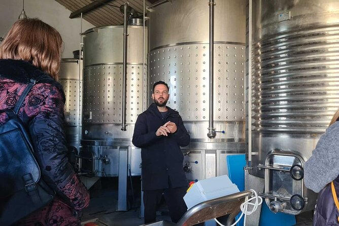 Malaga Organic Vineyard and Winery Six Wines Tapas and Transfer - Group size and service style: why the experience feels easy
