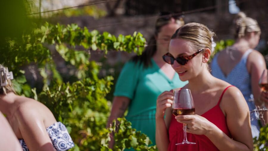 Malaga: Organic Vineyard Tour with 6 Wines, Tapas & Transfer - Key Points That Make This Tour Worth Your Time