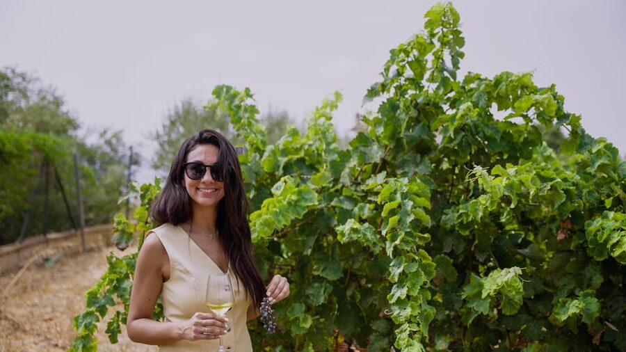 Malaga: Organic Vineyard Tour with 6 Wines, Tapas & Transfer - Why This Malaga Organic Wine Visit Feels Different