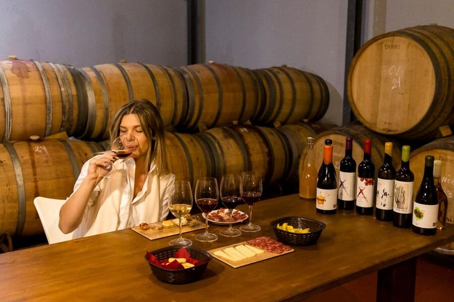 Malaga: Organic Vineyard Tour with 6 Wines, Tapas & Transfer - Viñedo Malvajio Vine Walk: Welcome Wine and Animal Encounters