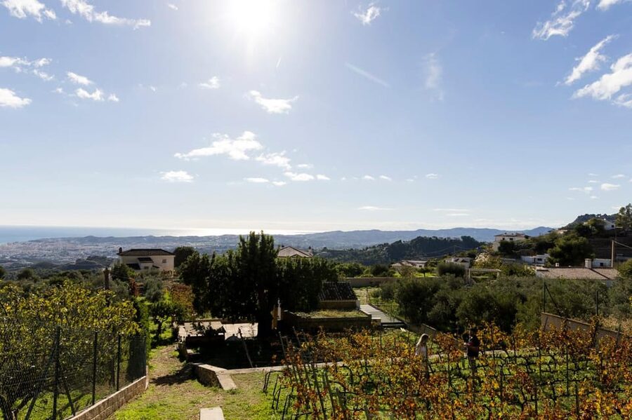 Malaga: Organic Vineyard Tour with 6 Wines, Tapas & Transfer - The 6-Wine Tasting: From Whites and Rosé to Vermouth and Experimental