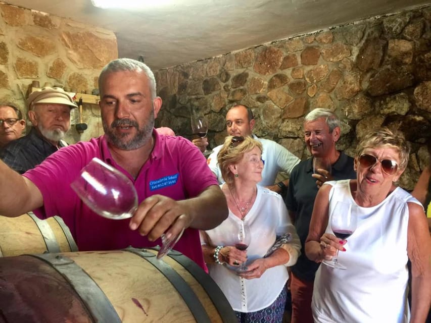 Malaga: Organic Vineyard Tour with 6 Wines, Tapas & Transfer - Who Should Book This Organic Vineyard Tour