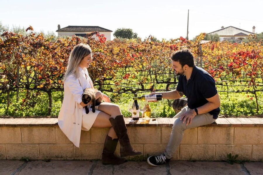 Malaga: Organic Vineyard Tour with 6 Wines, Tapas & Transfer - Getting There From Plaza de la Marina: Private Van Time