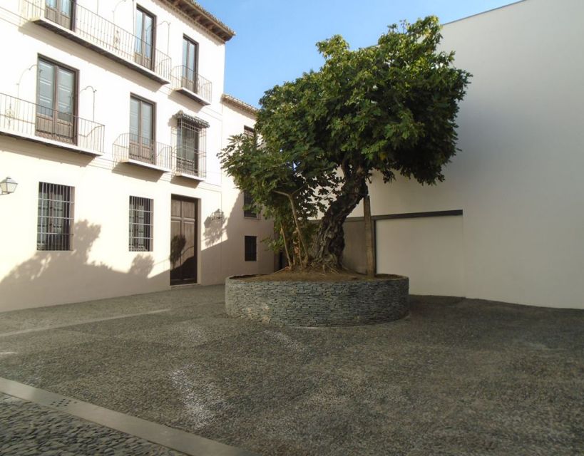 Malaga: Picasso Museum Guided Tour with Skip-the-Line Ticket - Who this Málaga Picasso Museum guided tour is best for