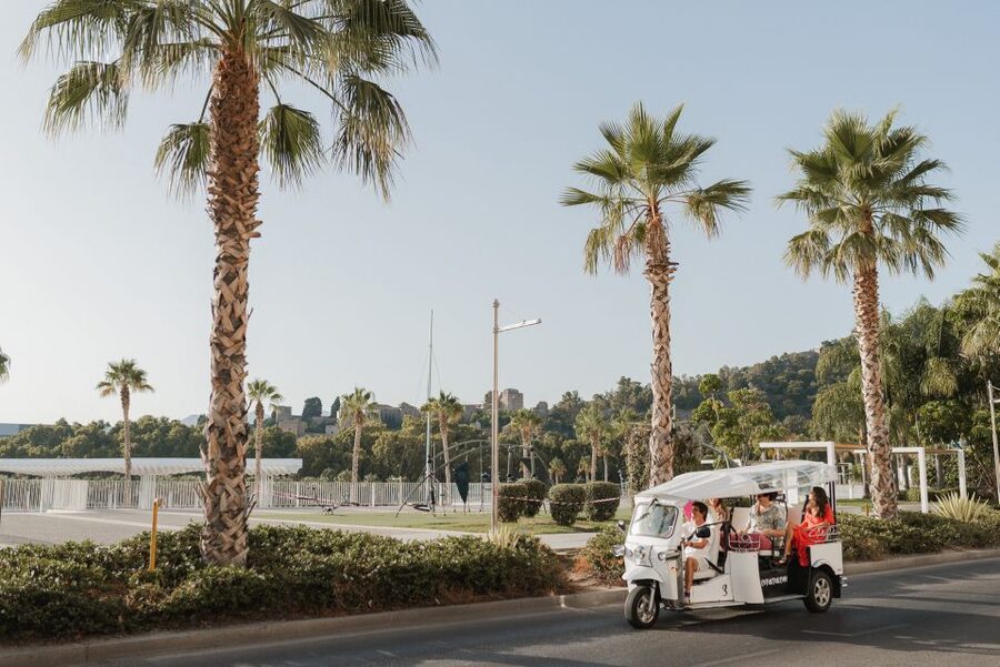 Malaga: Private City Tour by Eco Tuk Tuk - La Farola and La Malagueta Beach: the coastline in a single breath