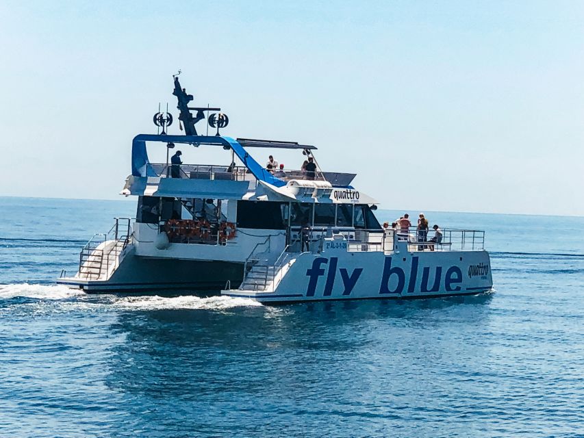 Málaga: Scenic Catamaran Cruise - The On-Water Moment: Views of the Bay and the Chance to See Wildlife