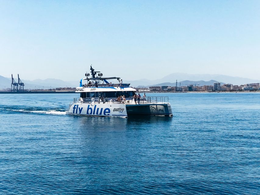 Málaga: Scenic Catamaran Cruise - Swimming and Cooling Off: What You Can Expect, and What to Watch