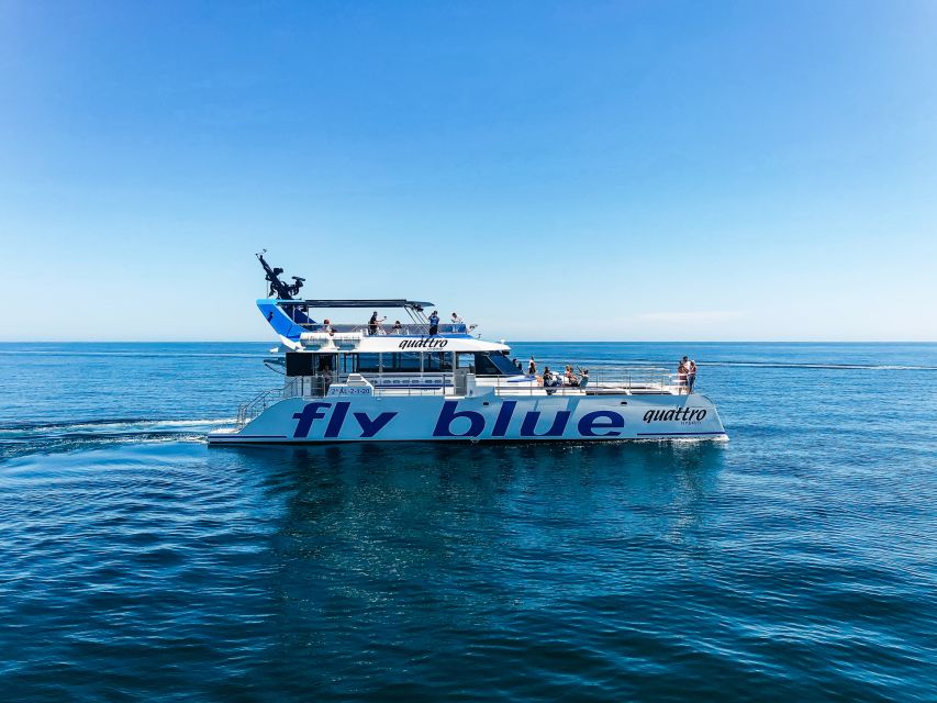 Málaga: Scenic Catamaran Cruise - Meeting Points and Timing: The Logistics That Really Matter