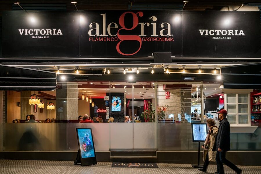 Malaga: Show and Food at Alegría Flamenco and Restaurant - The Pre-Show Lounge and Terrace: Comfort With Real City Views