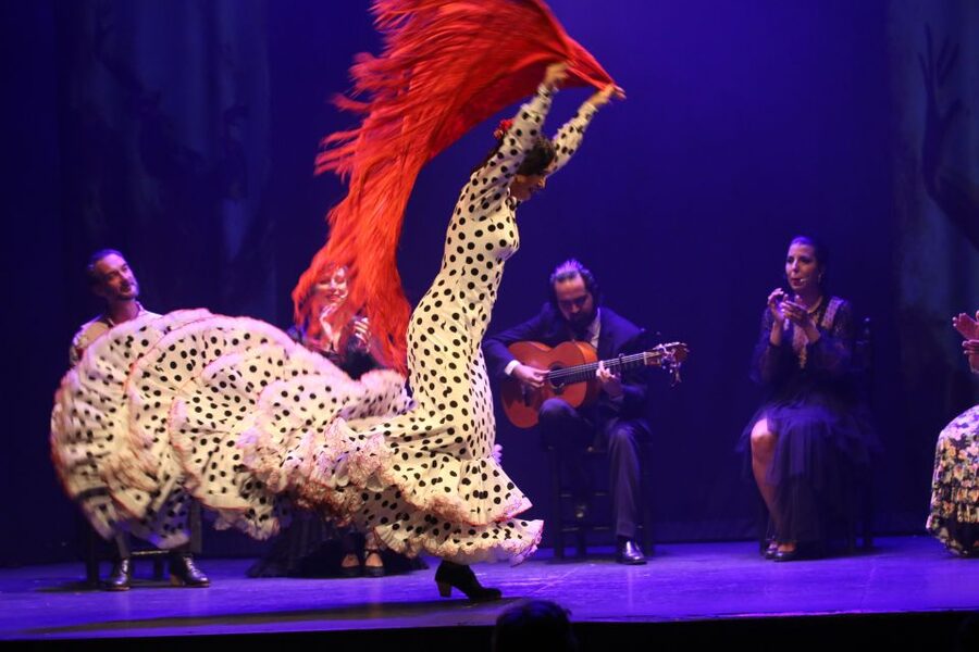 Malaga: Teatro Flamenco Malaga Live Flamenco Show - Key things to know about Teatro Flamenco Malaga