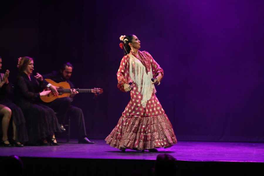 Malaga: Teatro Flamenco Malaga Live Flamenco Show - What actually happens during the 1-hour flamenco performance