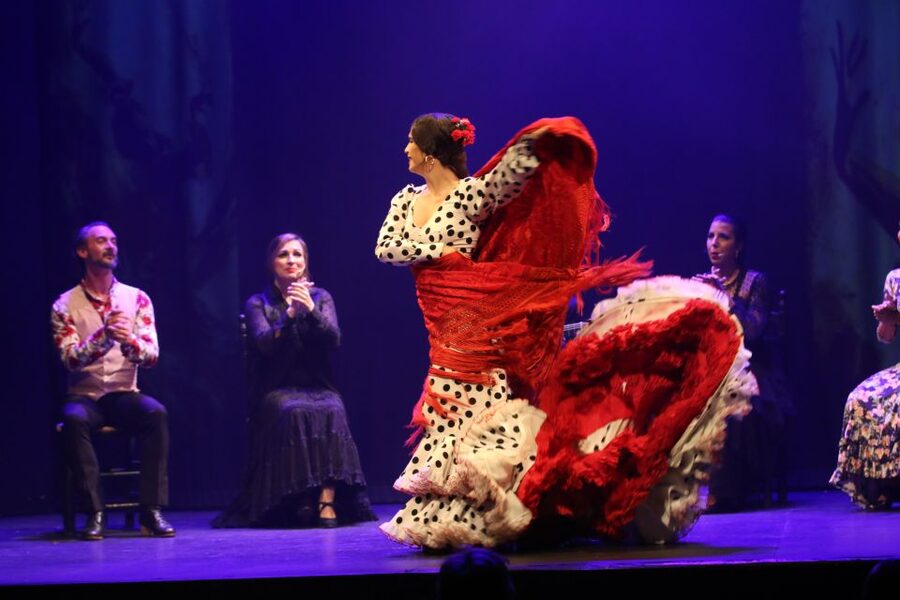 Malaga: Teatro Flamenco Malaga Live Flamenco Show - Costumes, emotion, and the stage reality of a small theatre